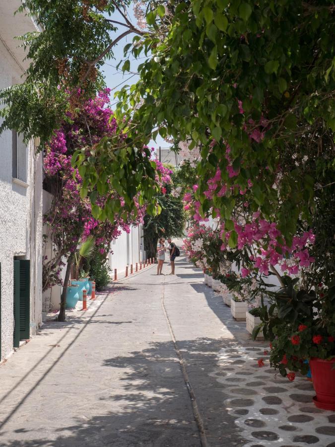 Naxos City Terra Fos Naxos Studios المظهر الخارجي الصورة